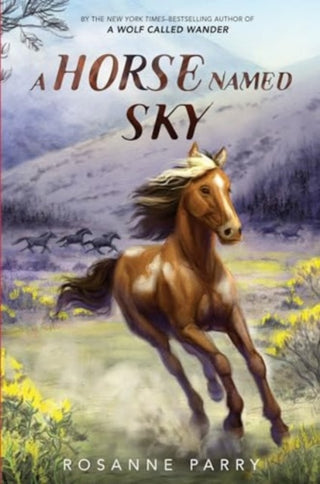 Cover image for 9780062995964 - A Horse Named Sky