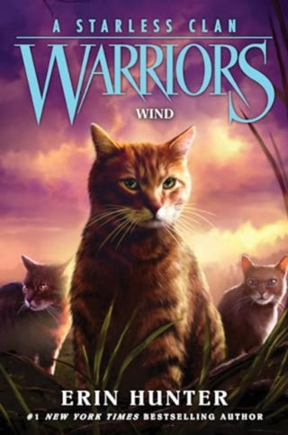 Cover image for 9780063050358 - Wind
