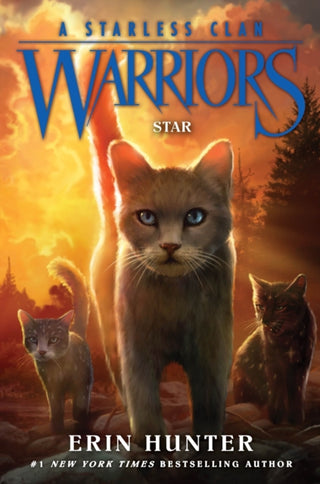 Cover image for 9780063050419 - Star