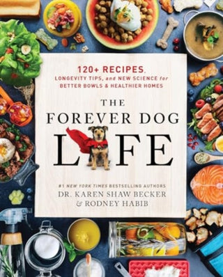 Cover image for 9780063314009 - The Forever Dog Life