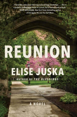 Cover image for 9780063346789 - Reunion