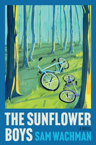 Cover image for 9780063418226 - The Sunflower Boys