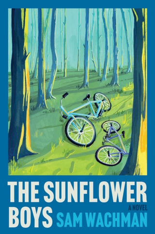 Cover image for 9780063418233 - The Sunflower Boys