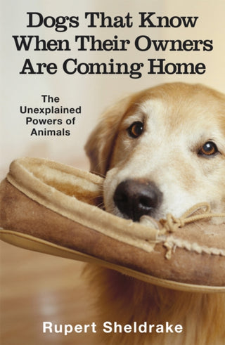 Cover image for 9780099255871 - Dogs That Know When Their Owners Are Coming Home