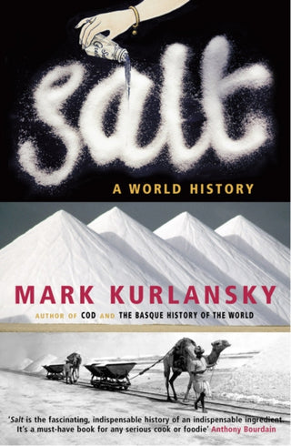 Cover image for 9780099281993 - Salt