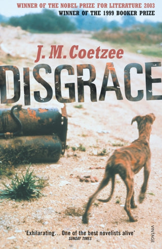 Supplemental image for 9780099289524 - Disgrace