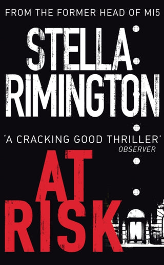 Cover image for 9780099461395 - At Risk