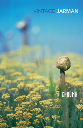 Supplemental image for 9780099474913 - Chroma