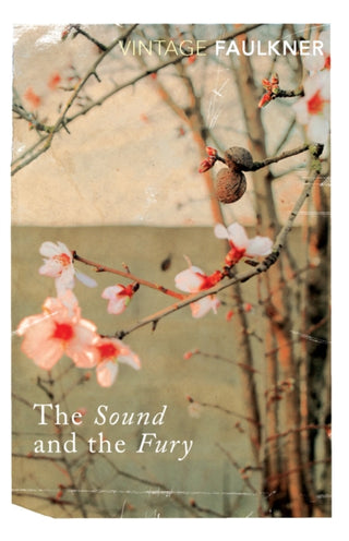 Cover image for 9780099475019 - The Sound and the Fury