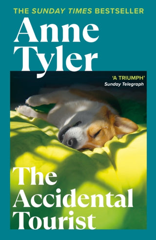Cover image for 9780099480013 - The Accidental Tourist