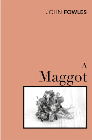Cover image for 9780099480419 - A Maggot