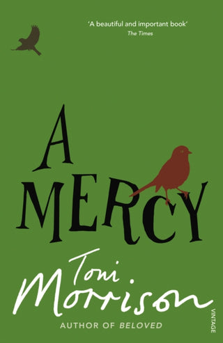 Cover image for 9780099502548 - A Mercy