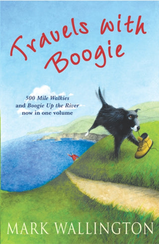 Cover image for 9780099503125 - Travels With Boogie