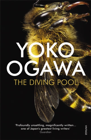 Cover image for 9780099521358 - The Diving Pool