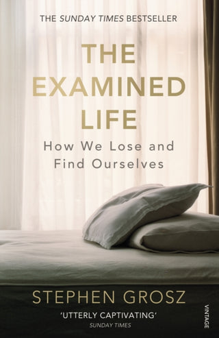 Cover image for 9780099549031 - The Examined Life