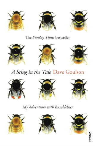Cover image for 9780099575122 - A Sting in the Tale