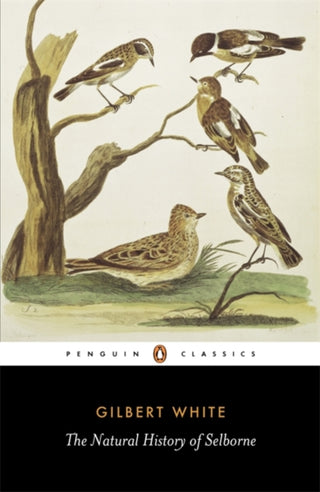 Cover image for 9780140431124 - The Natural History of Selborne