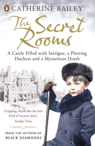 Cover image for 9780141035673 - The Secret Rooms