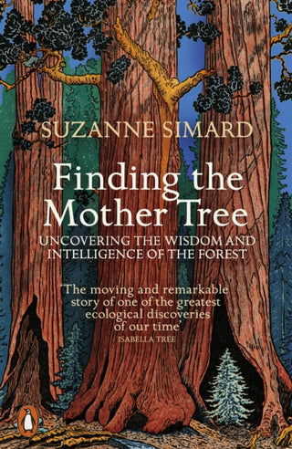 Cover image for 9780141990286 - Finding the Mother Tree