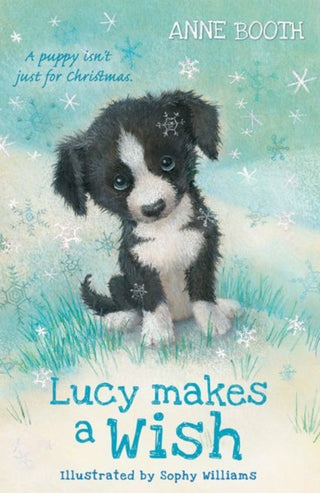 Cover image for 9780192772480 - Lucy Makes a Wish
