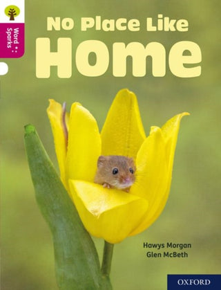 Cover image for 9780198496908 - Oxford Reading Tree Word Sparks: Level 10: No Place Like Home