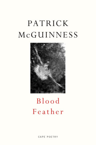 Cover image for 9780224098311 - Blood Feather