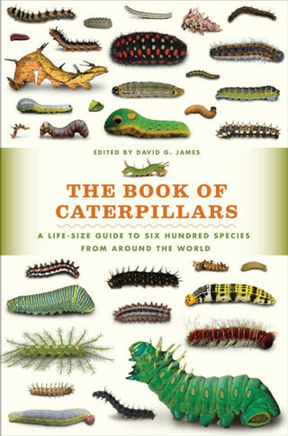 Cover image for 9780226287362 - The Book of Caterpillars – A Life–Size Guide to Six Hundred Species from around the World
