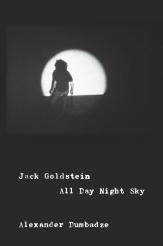 Cover image for 9780226398655 - Jack Goldstein – All Day Night Sky