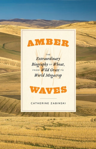 Cover image for 9780226553719 - Amber Waves – The Extraordinary Biography of Wheat, from Wild Grass to World Megacrop
