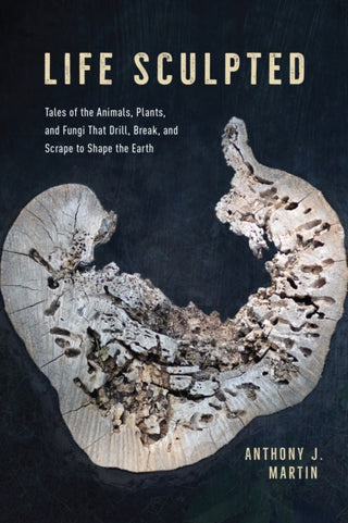 Cover image for 9780226810478 - Life Sculpted – Tales of the Animals, Plants, and Fungi That Drill, Break, and Scrape to Shape the Earth