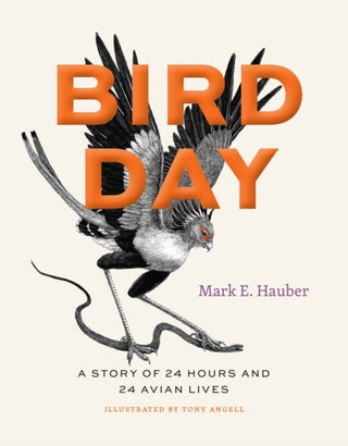Cover image for 9780226819402 - Bird Day – A Story of 24 Hours and 24 Avian Lives