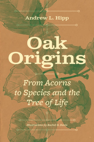 Cover image for 9780226823577 - Oak Origins – From Acorns to Species and the Tree of Life