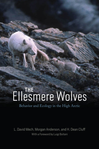 Cover image for 9780226833743 - The Ellesmere Wolves – Behavior and Ecology in the High Arctic