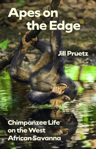 Cover image for 9780226837512 - Apes on the Edge – Chimpanzee Life on the West African Savanna