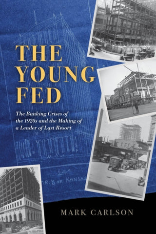 Cover image for 9780226837826 - The Young Fed – The Banking Crises of the 1920s and the Making of a Lender of Last Resort