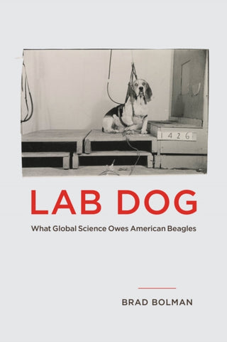 Cover image for 9780226839745 - Lab Dog – What Global Science Owes American Beagles