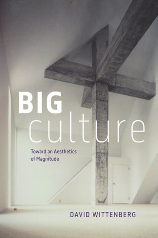 Cover image for 9780226842929 - Big Culture – Toward an Aesthetics of Magnitude