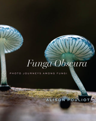 Cover image for 9780226843728 - Funga Obscura