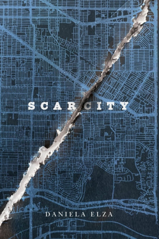 Cover image for 9780228023739 - SCAR/CITY