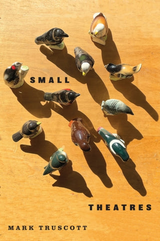 Cover image for 9780228027928 - Small Theatres