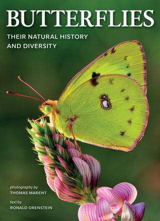Cover image for 9780228102496 - Butterflies
