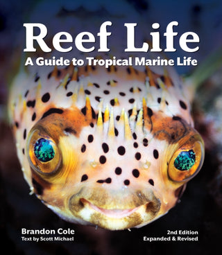 Cover image for 9780228102946 - Reef Life
