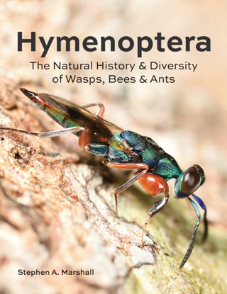 Cover image for 9780228103714 - Hymenoptera