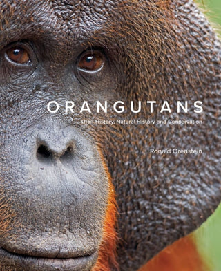 Cover image for 9780228103783 - Orangutans