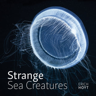 Cover image for 9780228104674 - Strange Sea Creatures