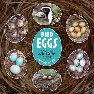 Cover image for 9780228104827 - Bird Eggs