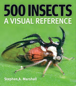 Cover image for 9780228104940 - 500 Insects: A Visual Reference