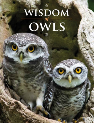 Cover image for 9780228105107 - Wisdom of Owls