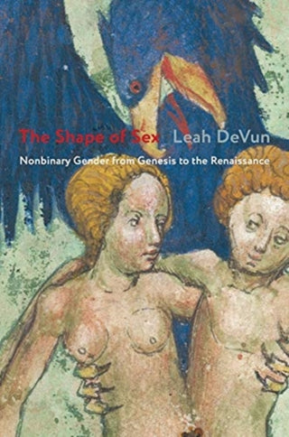 Cover image for 9780231195515 - The Shape of Sex – Nonbinary Gender from Genesis to the Renaissance