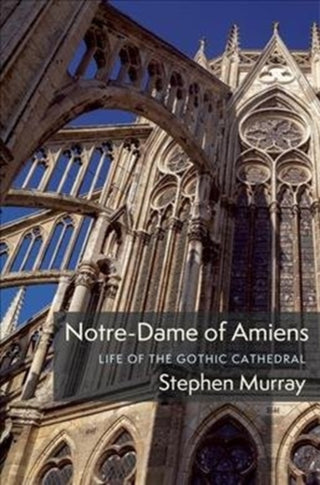 Cover image for 9780231195768 - Notre-Dame of Amiens